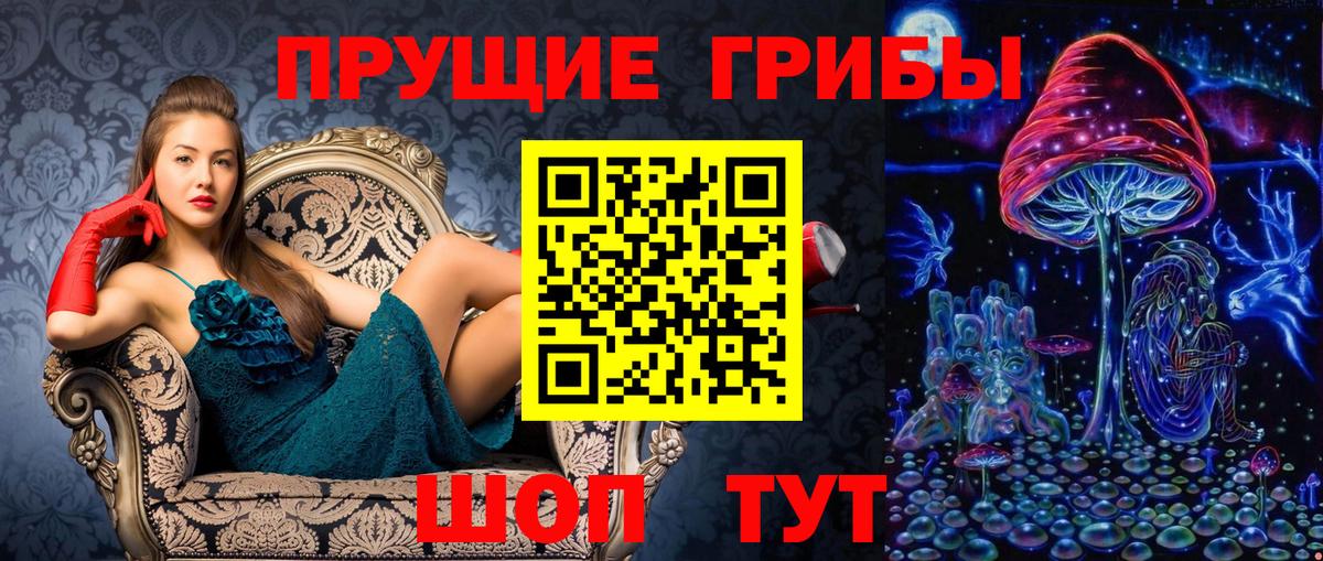 Александров  Галлюциногенные грибы мицелий  Вход с VPN 