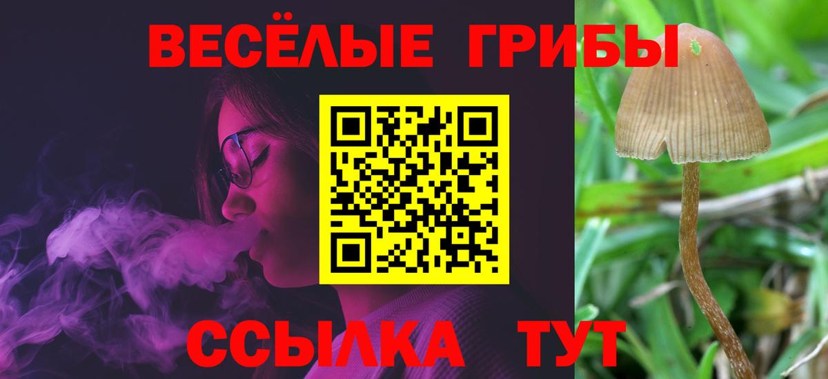 Псилоцибиновые грибы мухоморы Александров